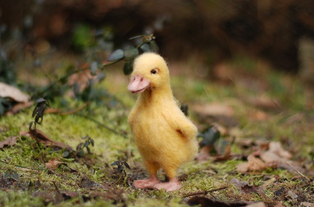 Wielkanoc - inne Żółta Kaczuszka