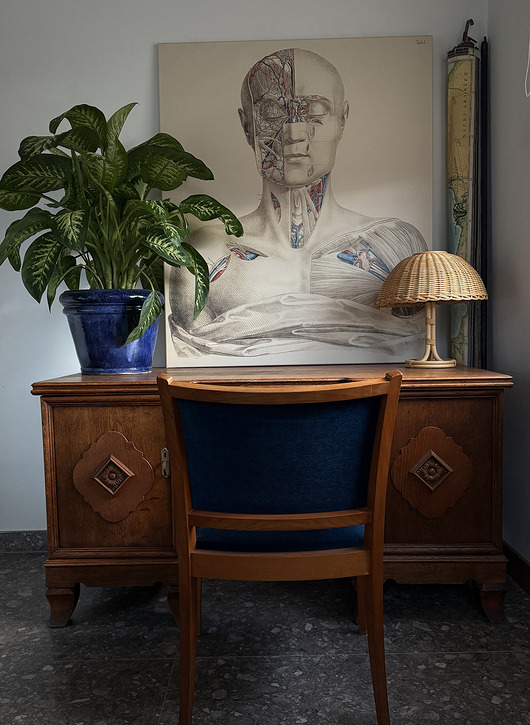 obrazy Human Anatomy - obraz na płótnie lub plakat