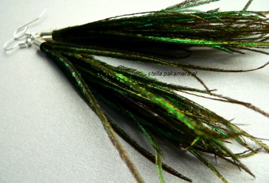 pawie naturalne Stella