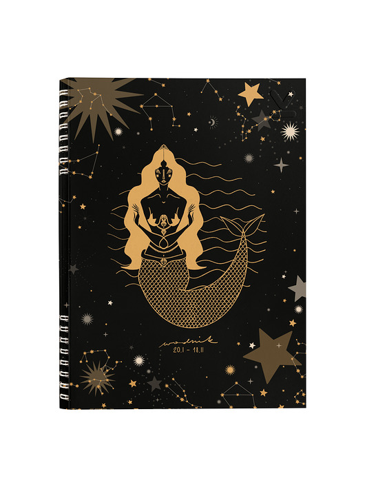 kalendarze i plannery NOTES ZODIAKI WODNIK B5  160 stron  SZARE KRATKI
