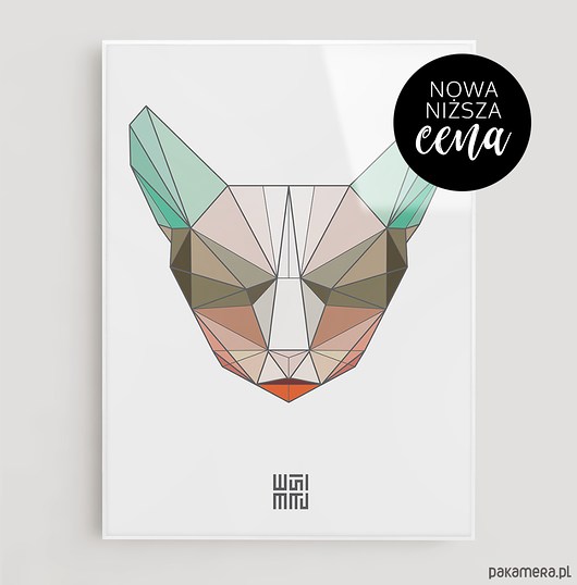 Plakat Kot kreskowy | 50x70 WISIMITU