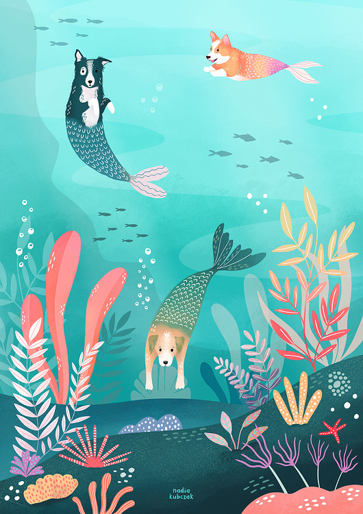 plakaty Plakat swimming pigs