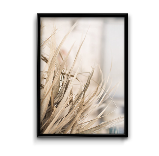 plakaty Plakat Morskie Trawy No.2
