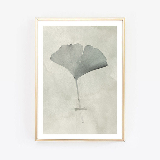  Flower,kwiat fotografia wejustlikeprints
