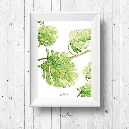 Plakat botaniczny A4  - Liście Merely Susan