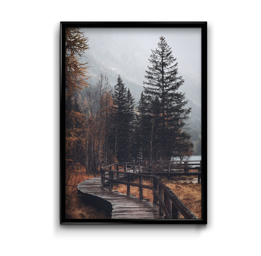 Jesień #2 - plakat  Bury Lis