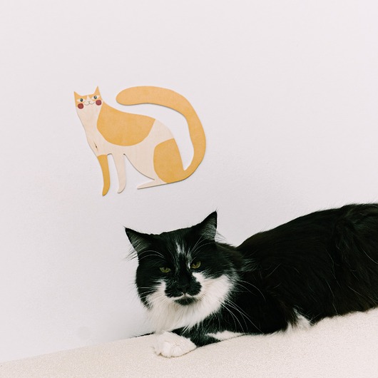 plakaty Plakat Muffin the cat - dekoracja ścienna