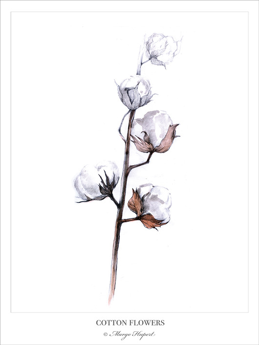 Kwiat Bawełny 30x40 cm Margo Hupert
