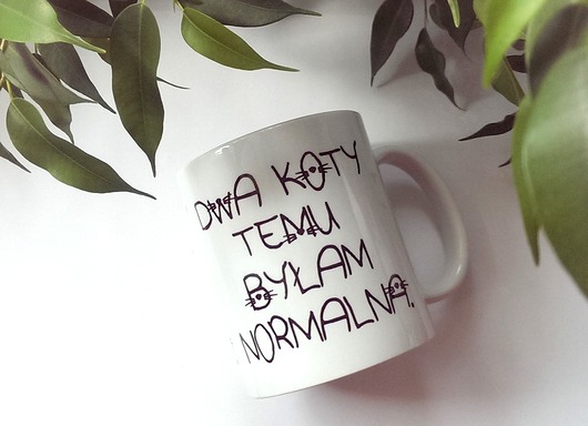 kubki Kubek  DWA KOTY TEMU