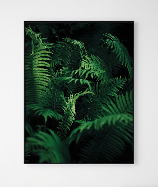 Plakat GREEN/ Paproć Szare Kropki