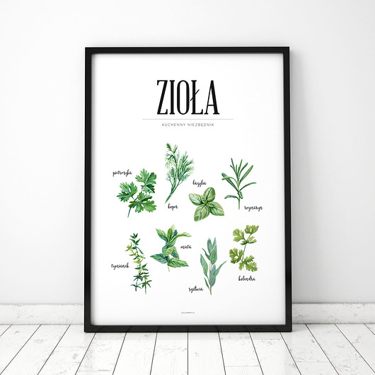 Plakat Zioła COLORMINT
