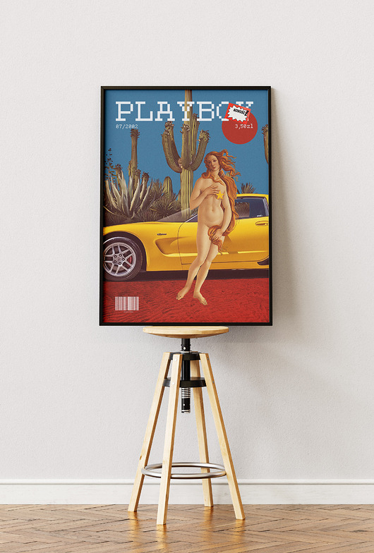 plakaty Plakat Kolaż - Venus Playboy - Dekoracja do salonu, pokoju, biura