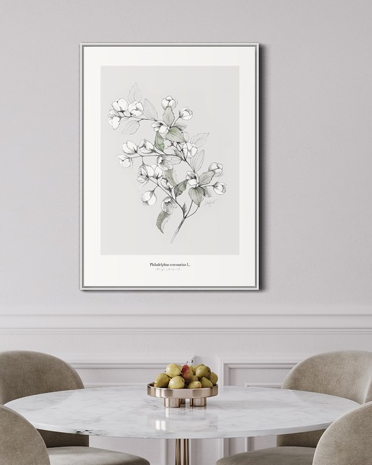 grafiki i ilustracje Jaśmin  print 50x70 cm