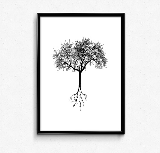 30x40 Plakat w ramie Bury Lis