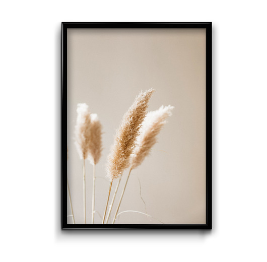 Plakat Suche trawy  Bury Lis