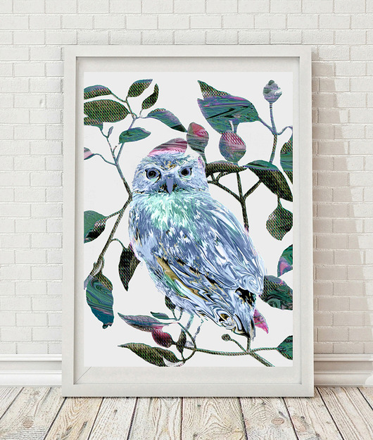 Owl | A4 Anita Tomala