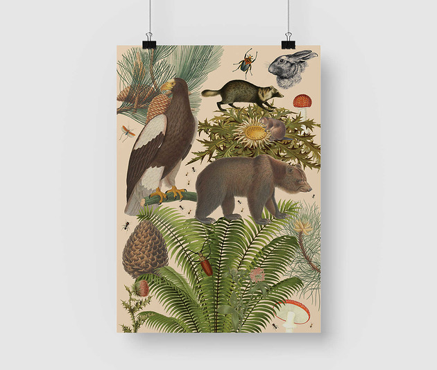 plakaty Kolaż Muscarius - Leśny Plakat