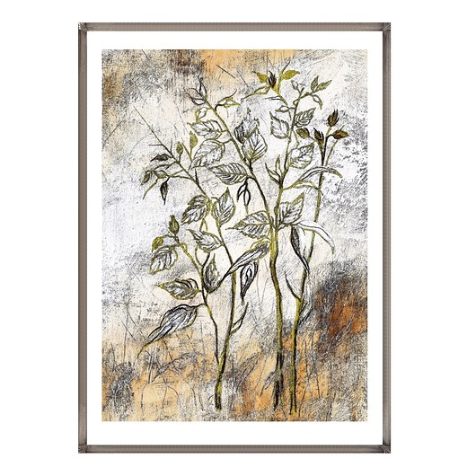 plakaty Polne zioła, botanika, oryginalny plakat 50/70 cm