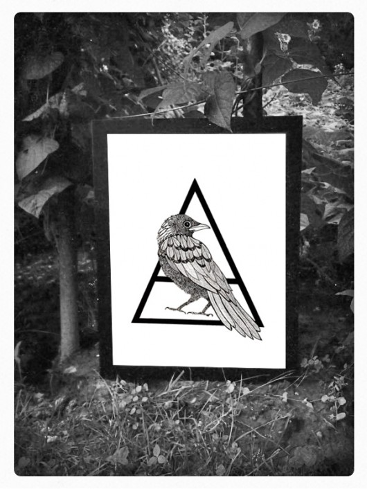 Bird karolina pepino wska