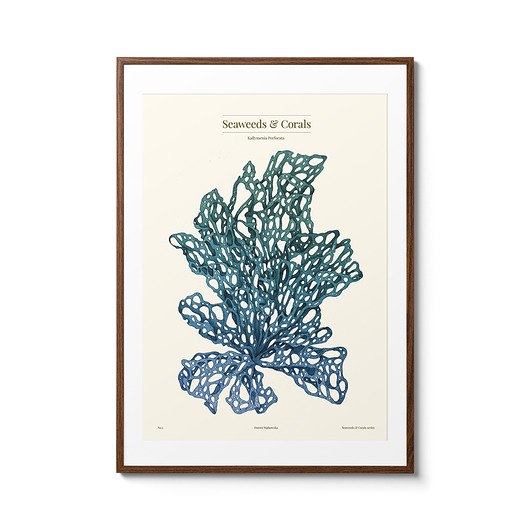 plakaty Plakat Glon Niebieski