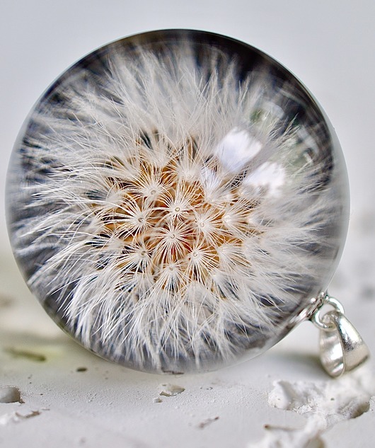 Naszyjnk z dmuchawcem Grol Jewellery