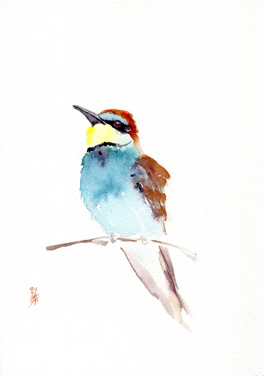 obrazy Oryginalna akwarela. Żołna