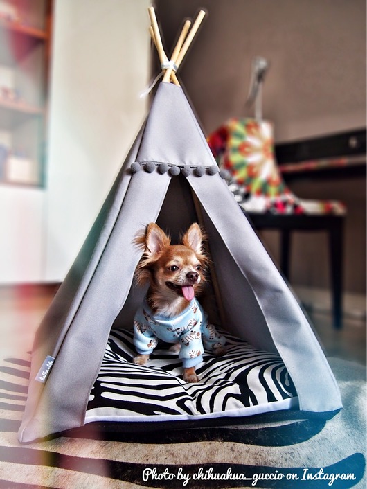 Legowisko Tipi - Zebra Halkalife
