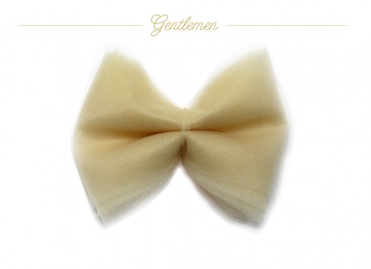 Gentlemen's bow - beige - mucha Olga POKRYWKA