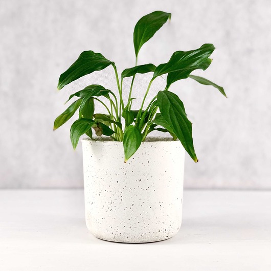 Doniczka B-12 White Betonove