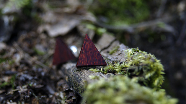 Padouk(Pterocarpus soyauxii) karol drevko