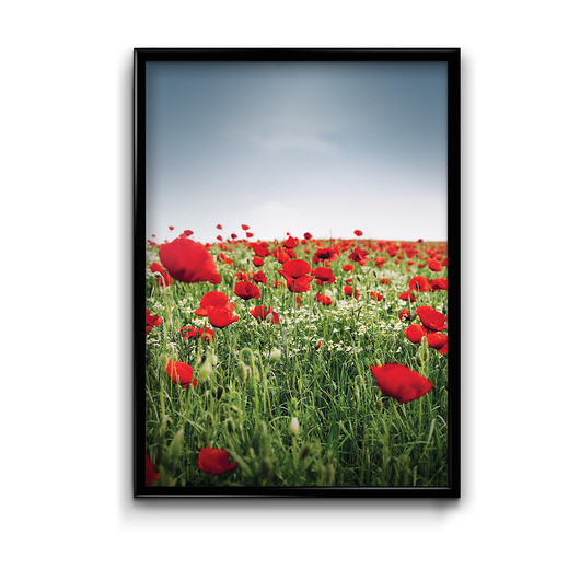 Maki - plakat Bury Lis