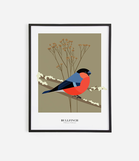 plakaty Plakat Gil Bullfinch 30 x 40 cm