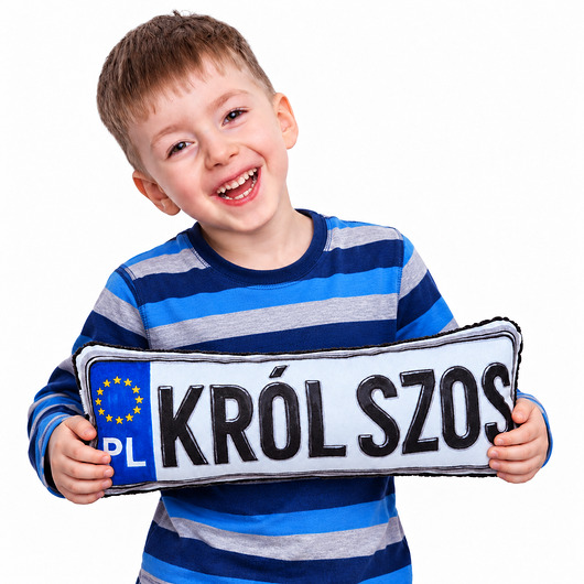 poduszki do pokoju dziecka Poduszka tablica rejestracyjna pluszowa tablica rejestracyjna król szos