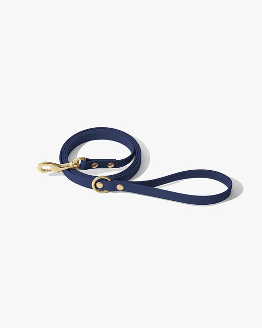 smycze i obroże dla psów i kotów Smycz miejska premium mosiądz - navy blue