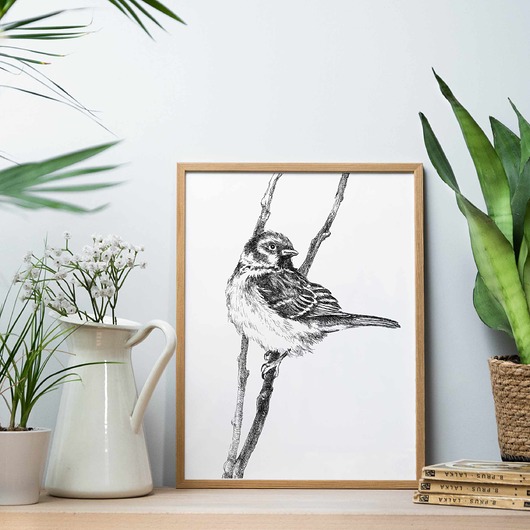 grafiki i ilustracje Wróbelek 30x40