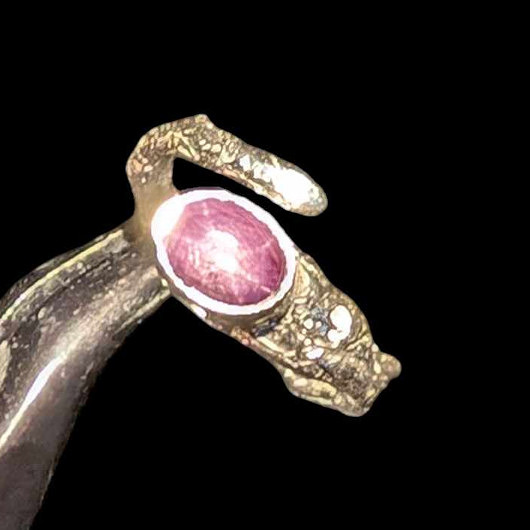 pierścionki srebrne Rubin gwiaździsty w gałązce srebra