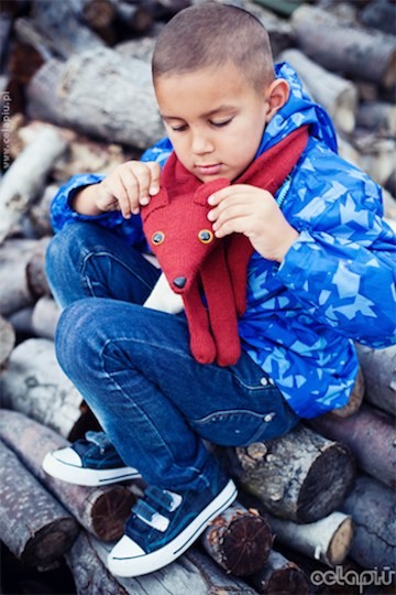 Mini Foks  celapiu