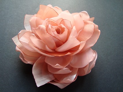 MIRREN SundayRose