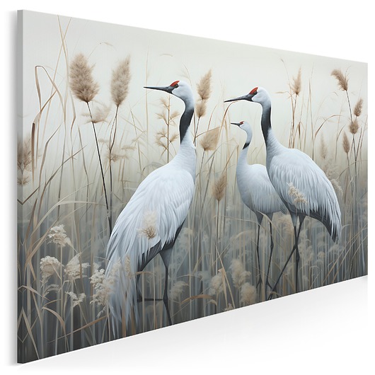 grafiki i ilustracje Obraz na płótnie - PTAKI CZAPLE ŻURAWIE - 120x80 cm (104601)