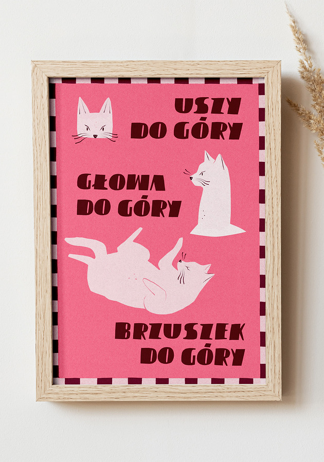 plakaty Plakat Kotki do góry