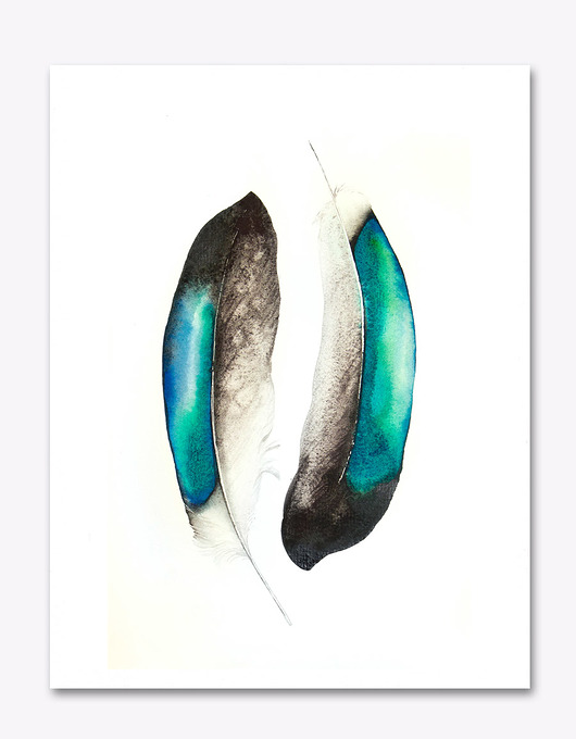 Pióra #1 - plakat, reprodukcja 40x50cm Karolina Kijak