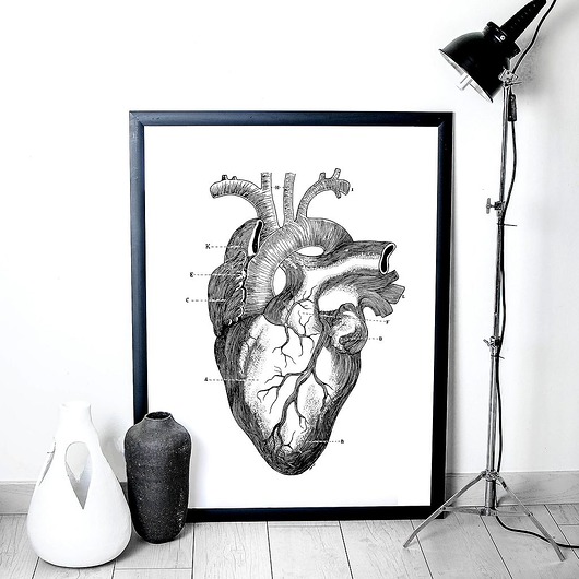 Plakat Serce Anatomiczne agakubish