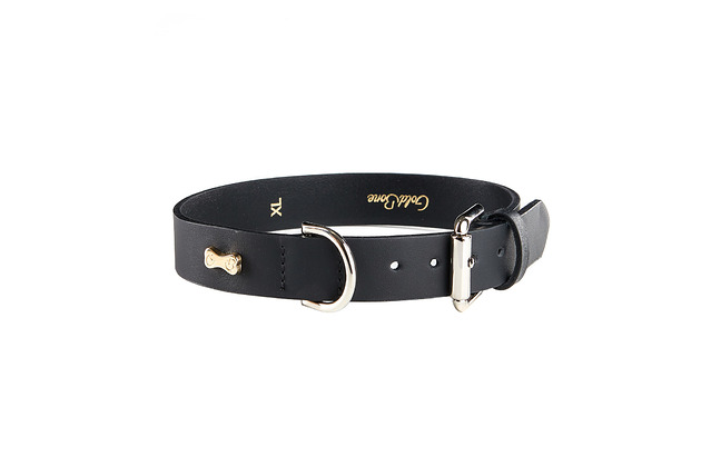 smycze i obroże dla psów i kotów Obroża Classy Black (szerokość 2,5 cm)