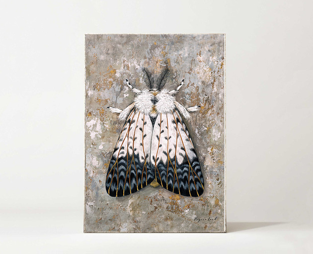 grafiki i ilustracje Moth