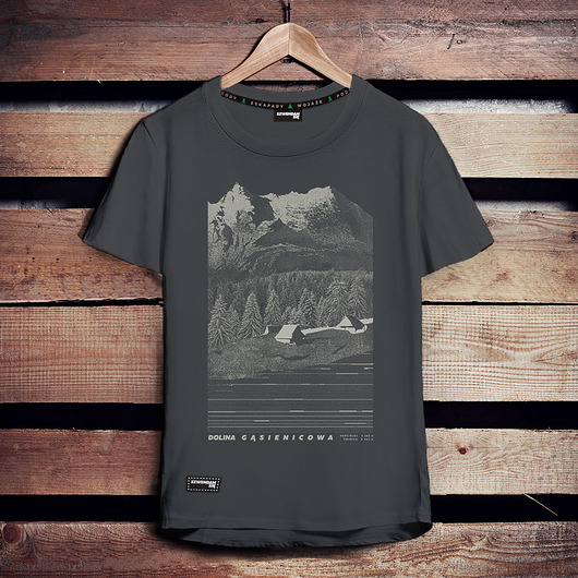 t-shirty męskie Koszulka męska z górami  TATRY/DOLINA GĄSIENICOWA szara -