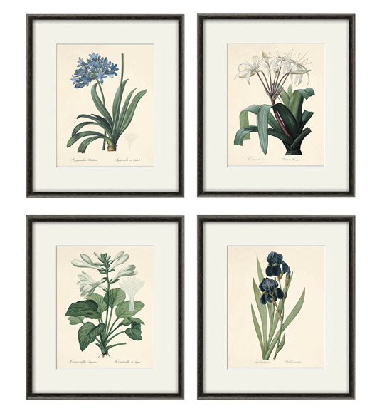 grafiki i ilustracje Kwiaty Ilustracja Druk Botaniczny prezent stara Grafika Rysunek
