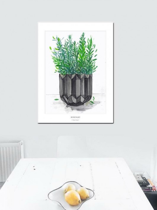 rozmaryn plakat / poster Margo Hupert