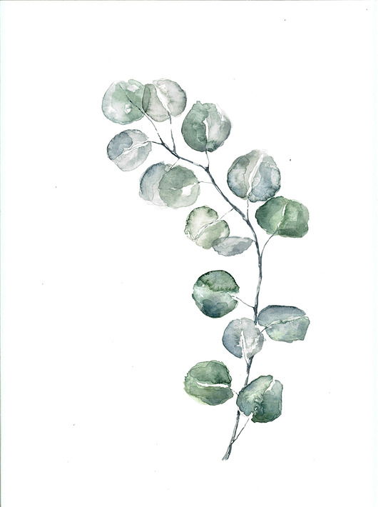Zestaw ilustracj botanicznych JUST ILUST Justyna Małczak