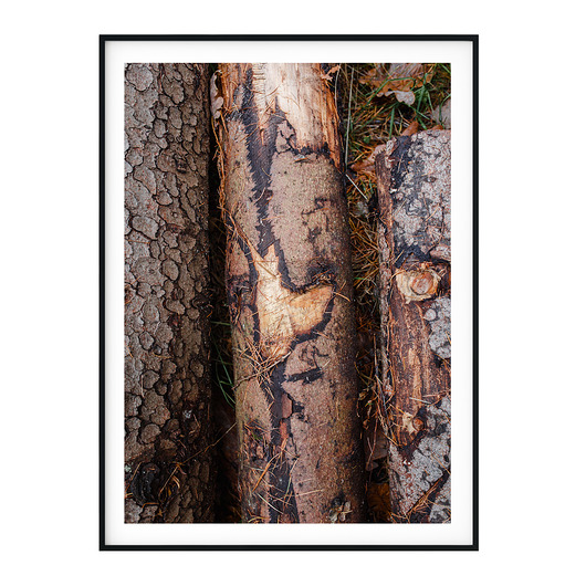 Plakat skandynawski Drewno no. 4 myscandi