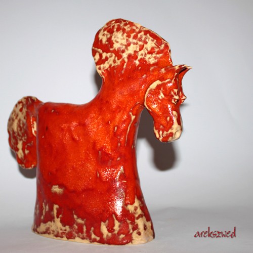 orange Arek Szwed
